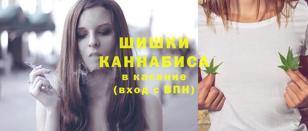 ГАЛЛЮЦИНОГЕННЫЕ ГРИБЫ Надым