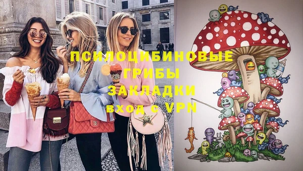 а пвп мука Абаза