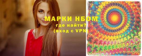 соль ск Алзамай