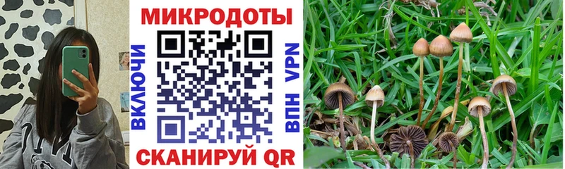 Галлюциногенные грибы GOLDEN TEACHER  Александров 