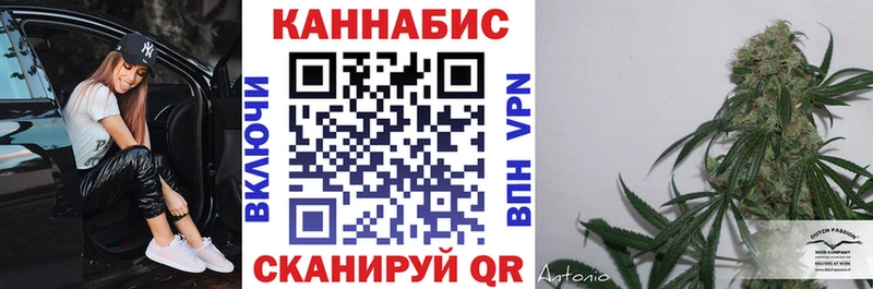 купить закладку  Александров  МАРИХУАНА индика 